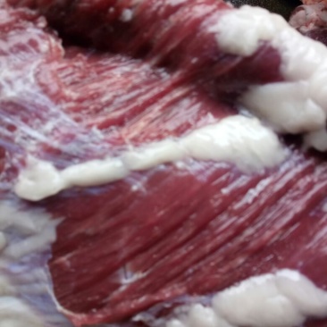 驴肉鲜货