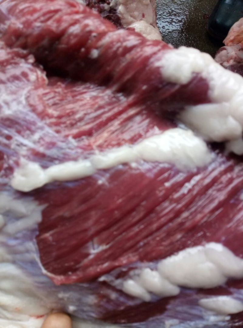 驴肉鲜货