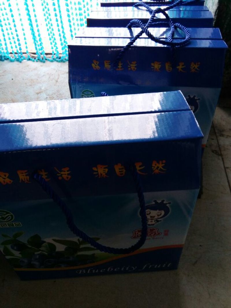 美登蓝莓鲜果4~6mm以上