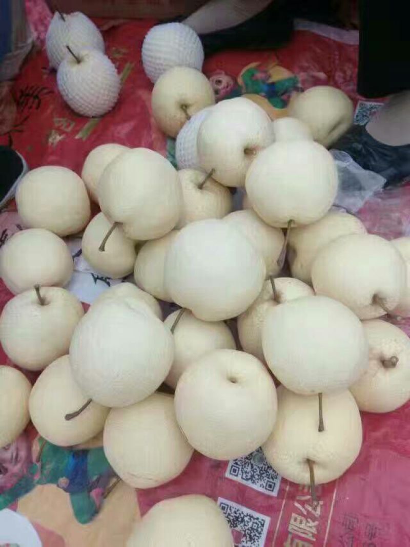 礼泉酥梨200~250g纸箱