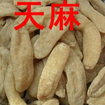 天麻特级