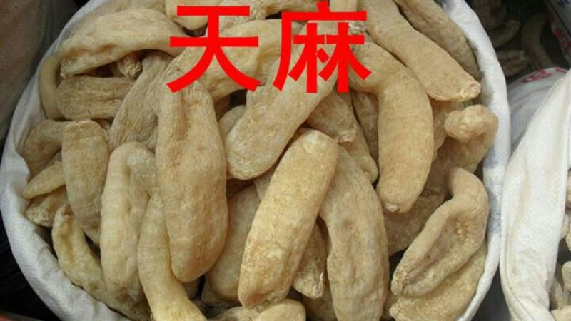 天麻特级