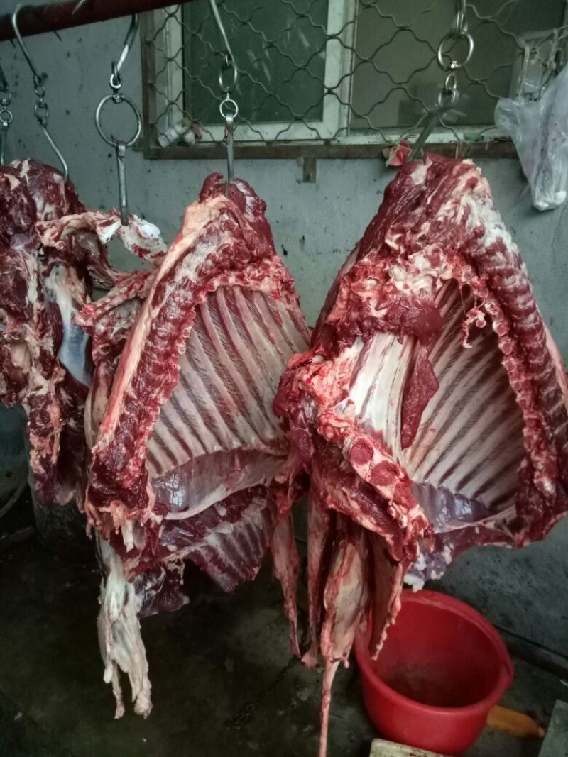 驴肉鲜货