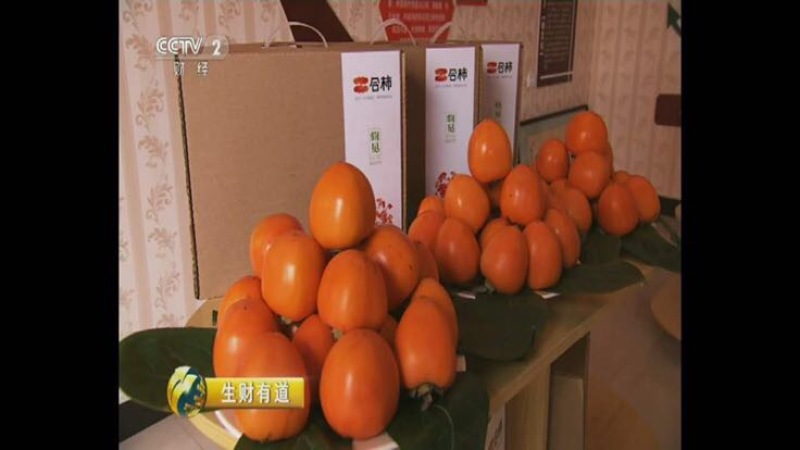 柿饼