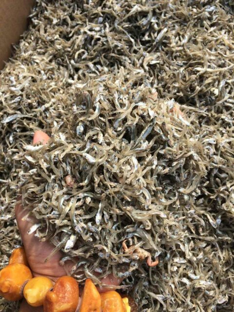 银鱼干