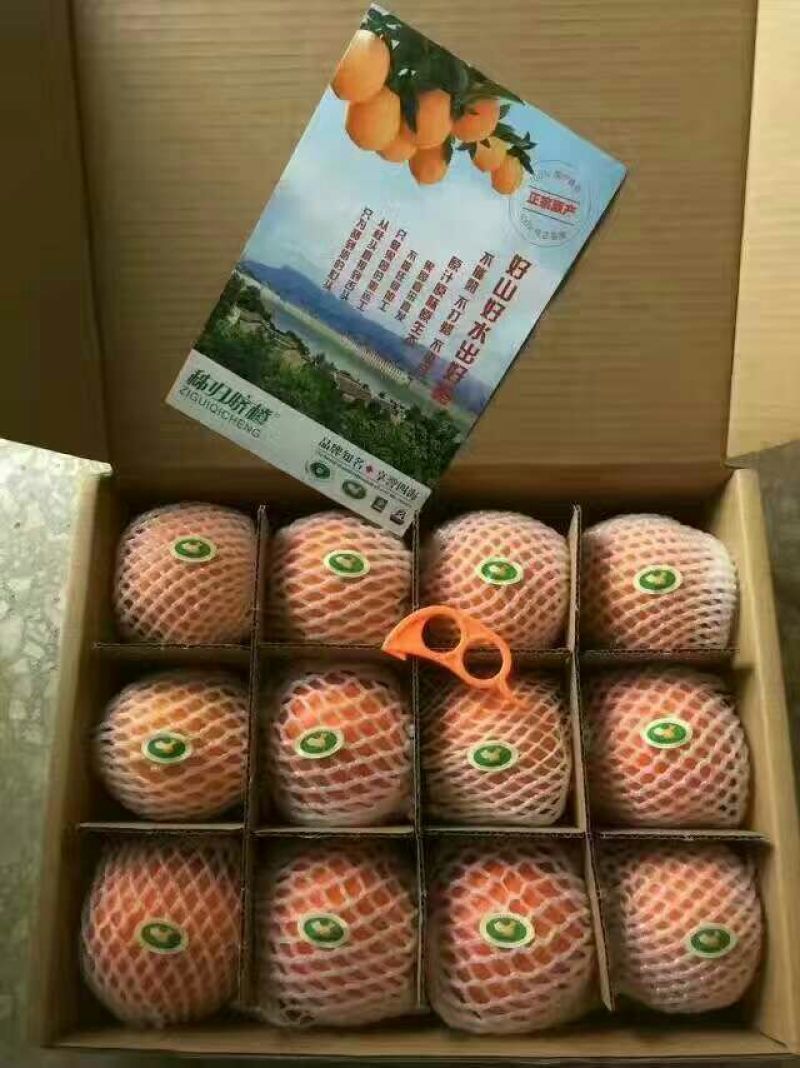 二月红脐橙橙子柑橘产地直销保质保量欢迎订购