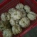 龙牙百合二头药食两用