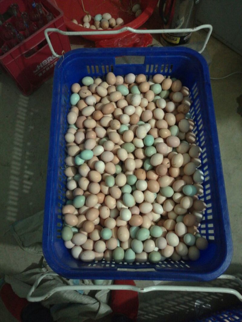 土鸡蛋食用50g以下