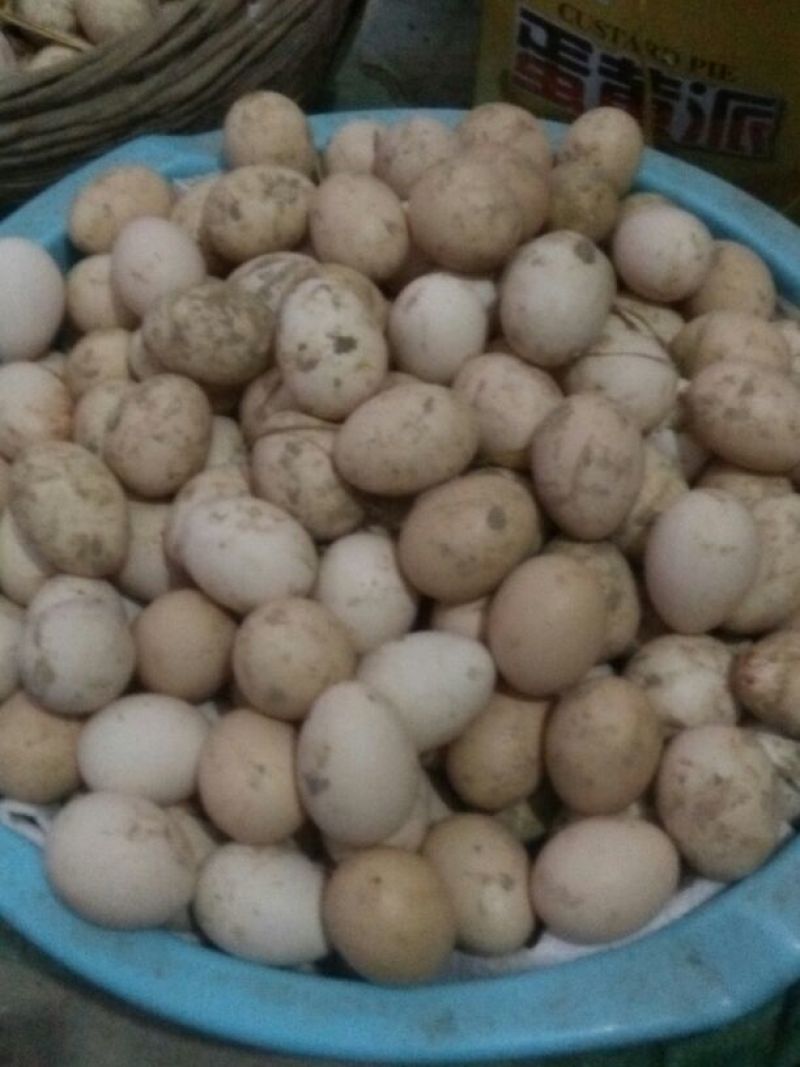 土鸡蛋食用50g以下