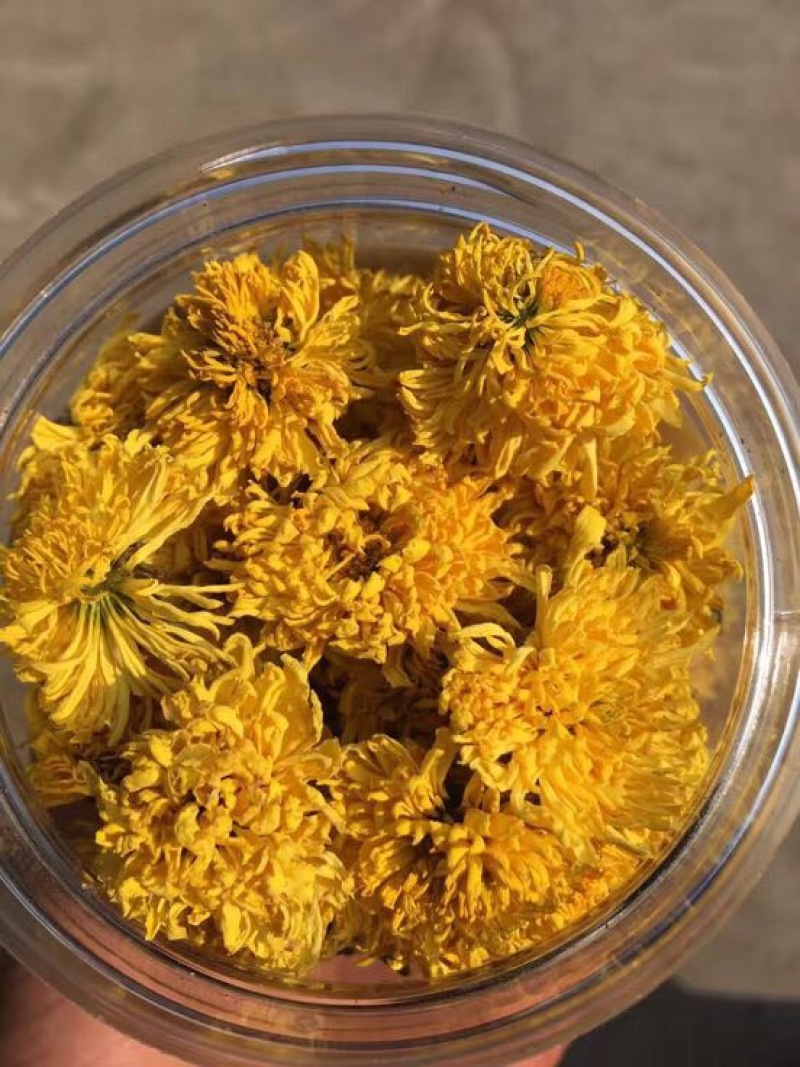 菊花茶
