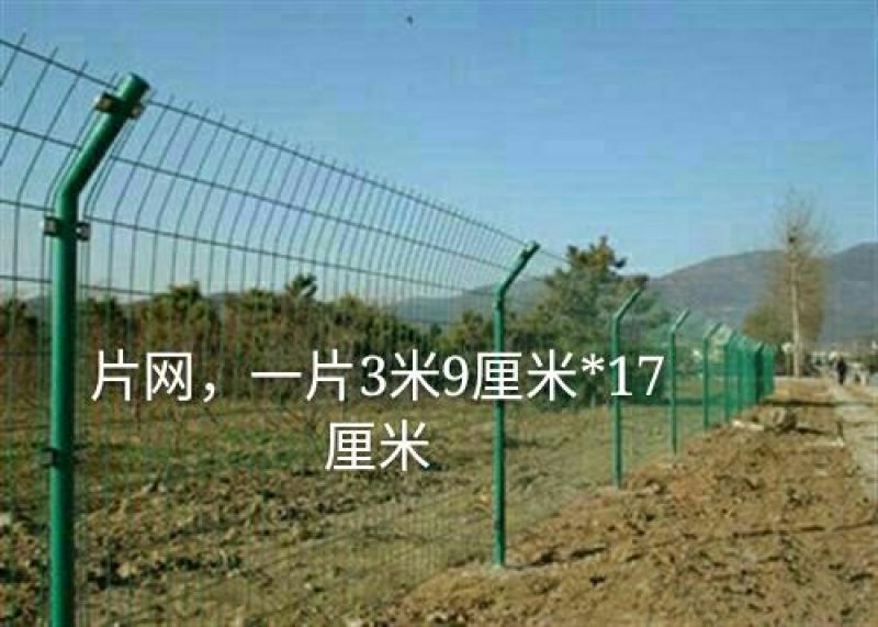 养鸡围栏网6公分