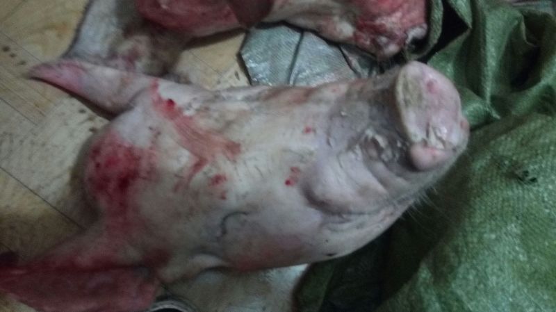 猪头肉散装