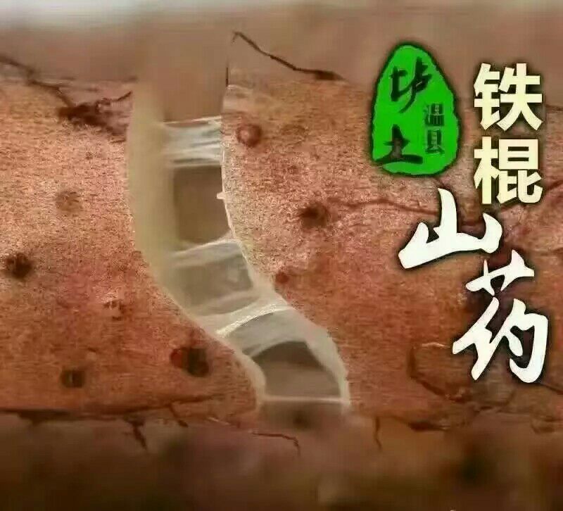 正宗温县18年垆土鲜铁棍山药