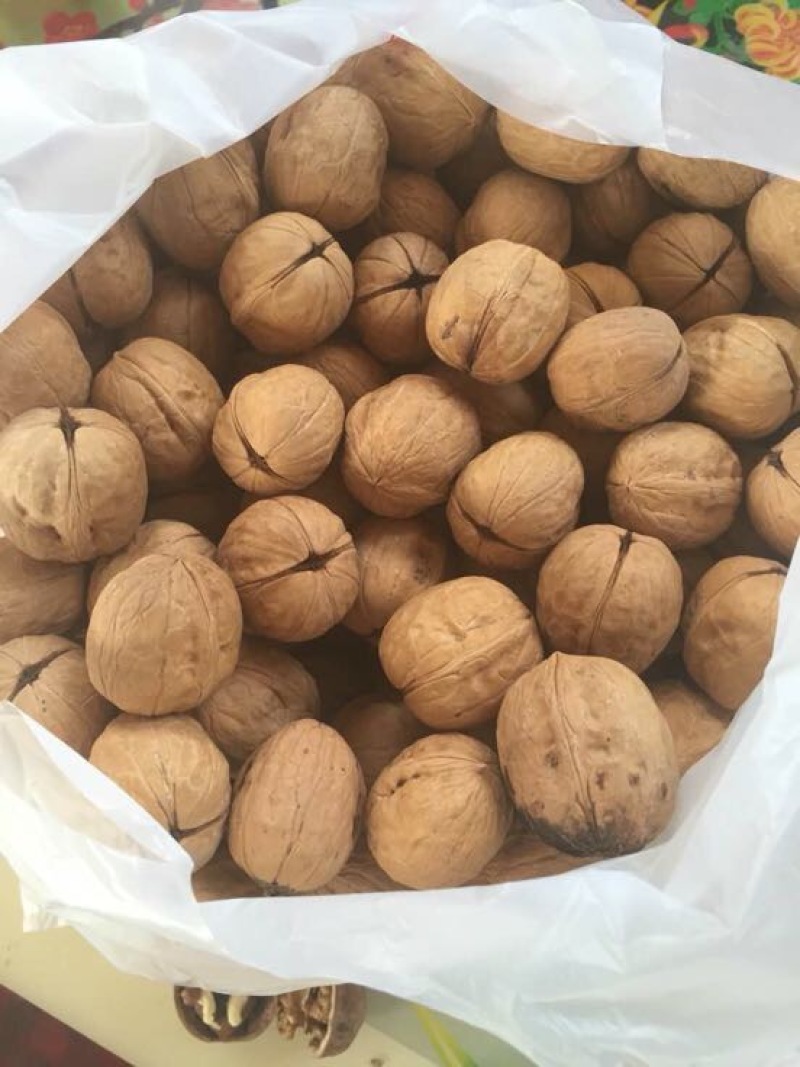 薄皮核桃