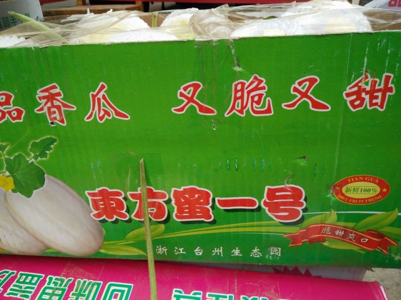 东方密1号哈密瓜2斤以上椭圆形