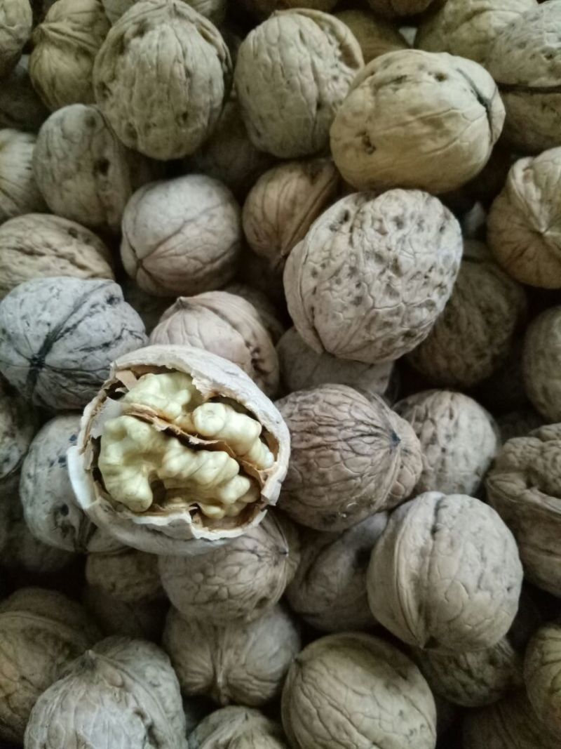 脱皮核桃30mm以上去皮
