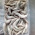 青虾食用13~15只/kg