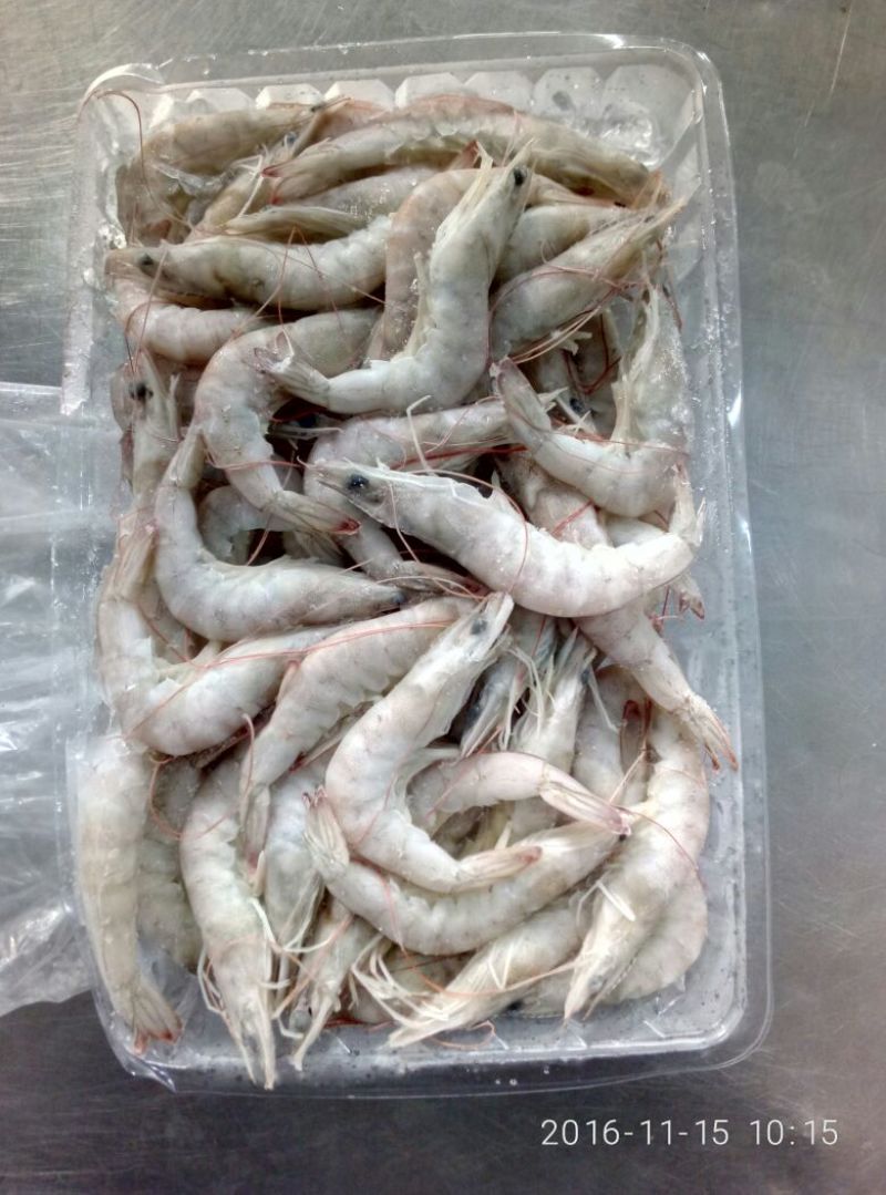 青虾食用13~15只/kg