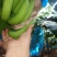 巴西香蕉七成熟