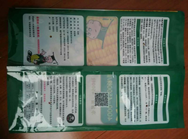 玉米种子
