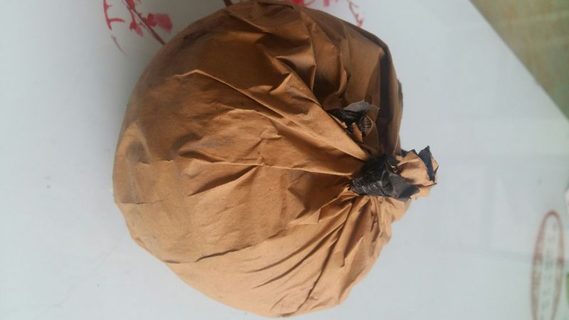 晚秋黄梨550~600g纸袋