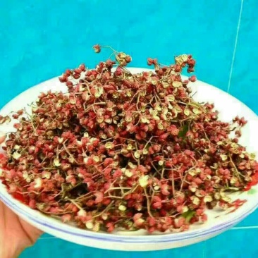 大红袍花椒特级干