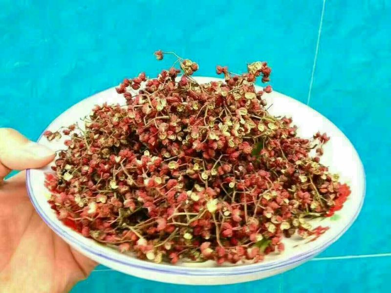 大红袍花椒特级干