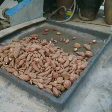 红薯淀粉袋装