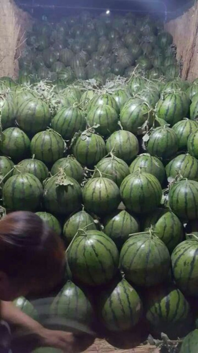 西瓜全网优质货源正品保障