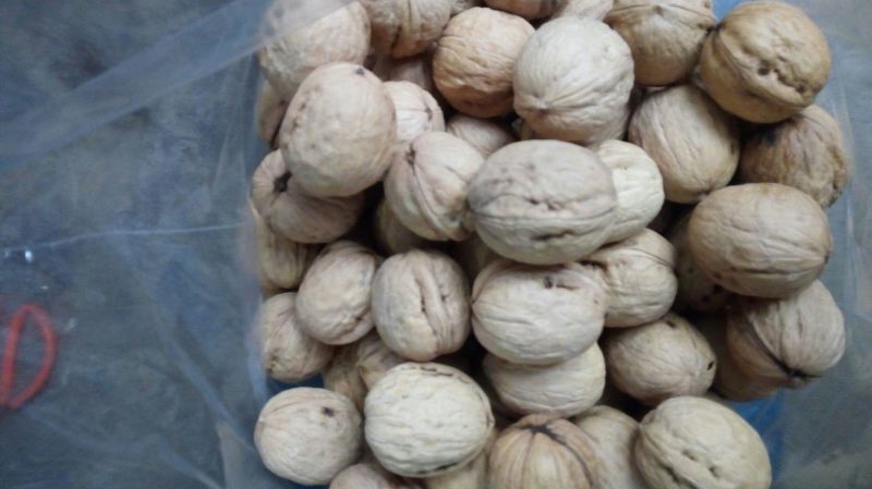 香玲核桃去皮干