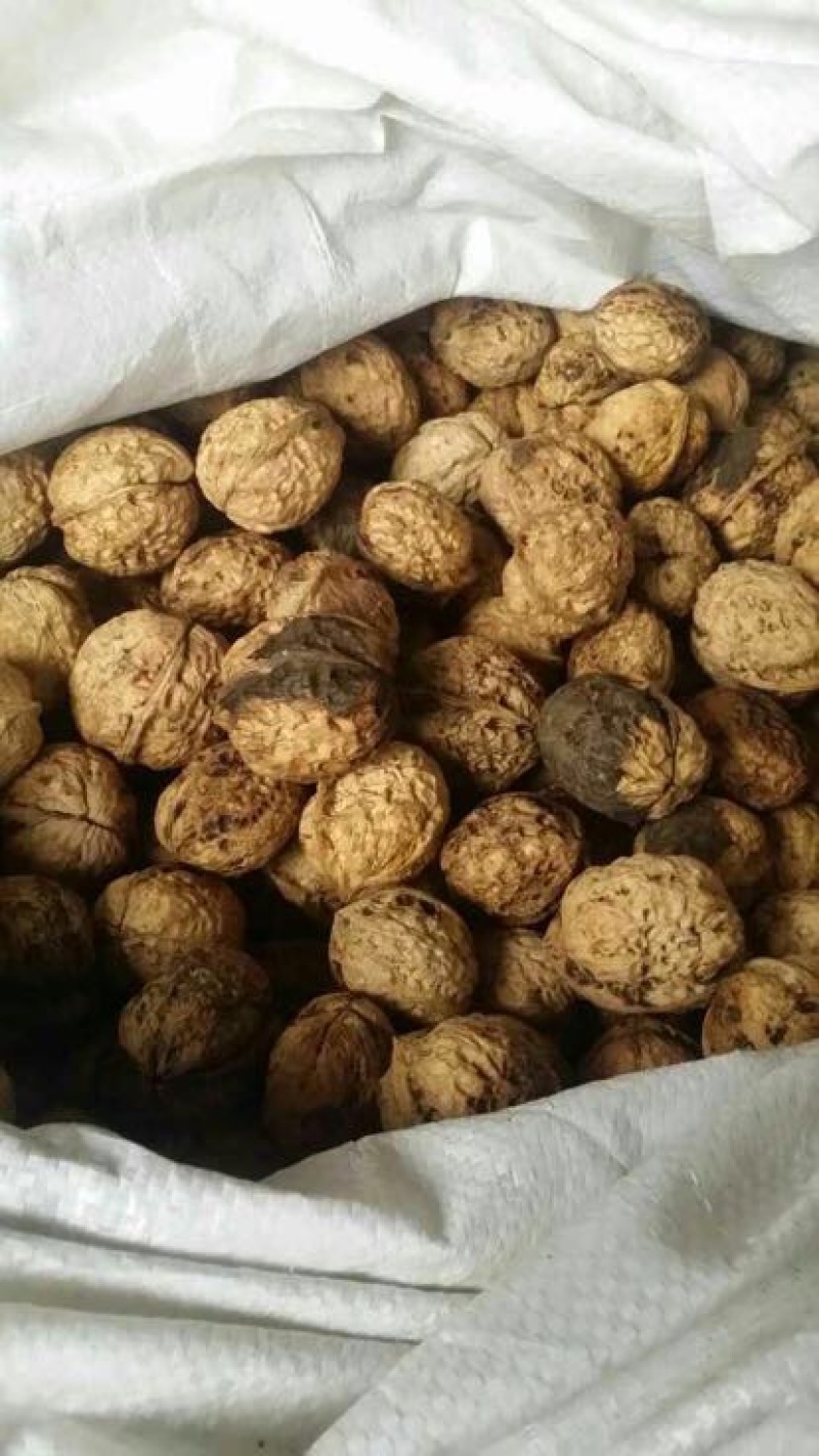 黑夹核桃30mm以上去皮干