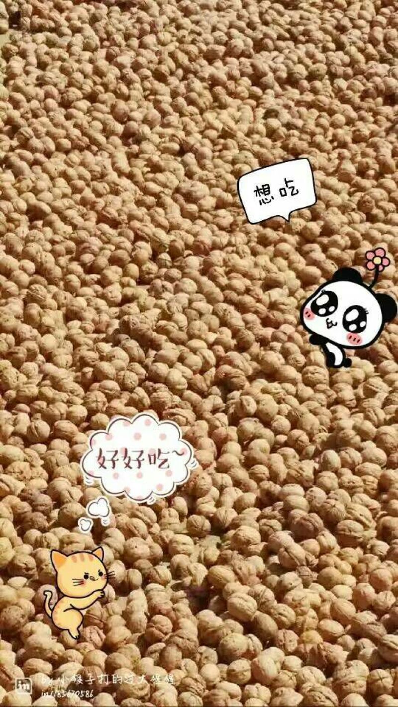 薄皮核桃去皮干