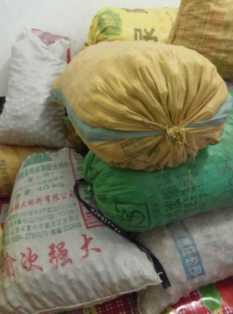 山核桃30mm以上去皮干