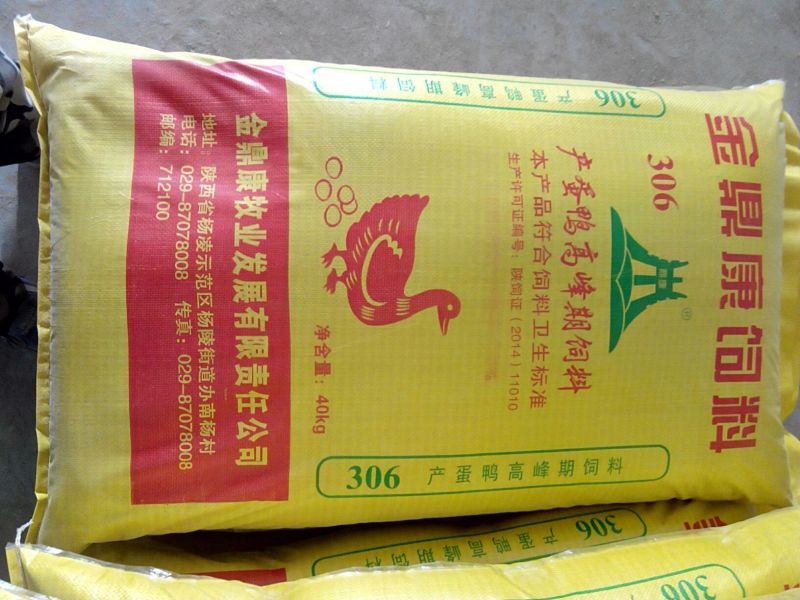 猪饲料18个月