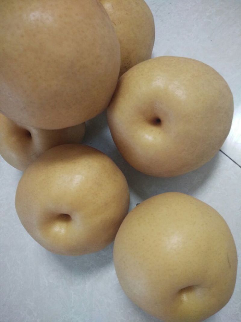富硒梨500~550g纸箱