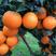 甜橙血橙65~85产地大量销售中，爆汁入口化渣看园采果