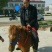 矮马100~200kg