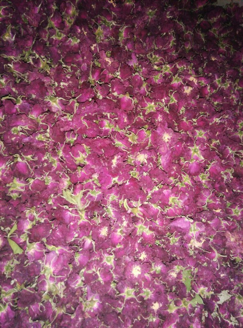 玫瑰花茶
