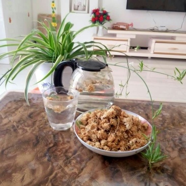 白菊花茶