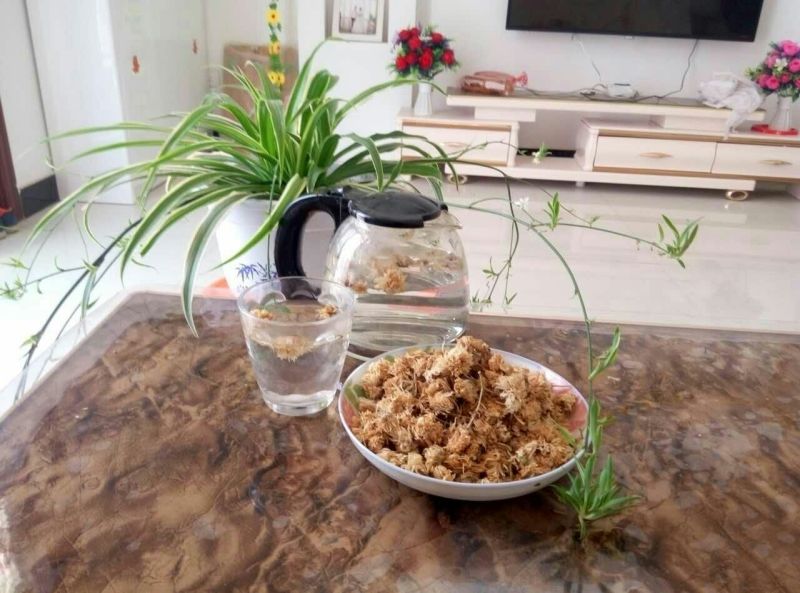 白菊花茶