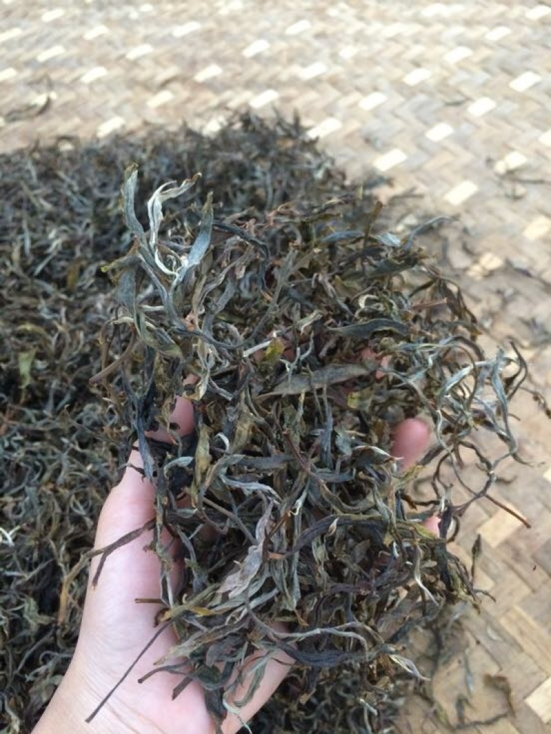 普洱茶
