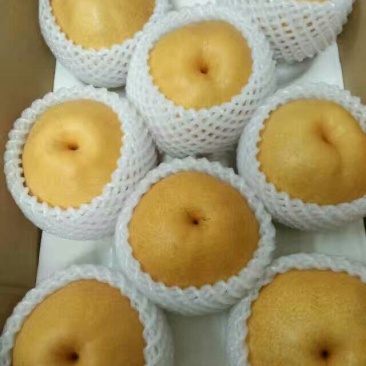 晚秋黄梨100~150g纸袋