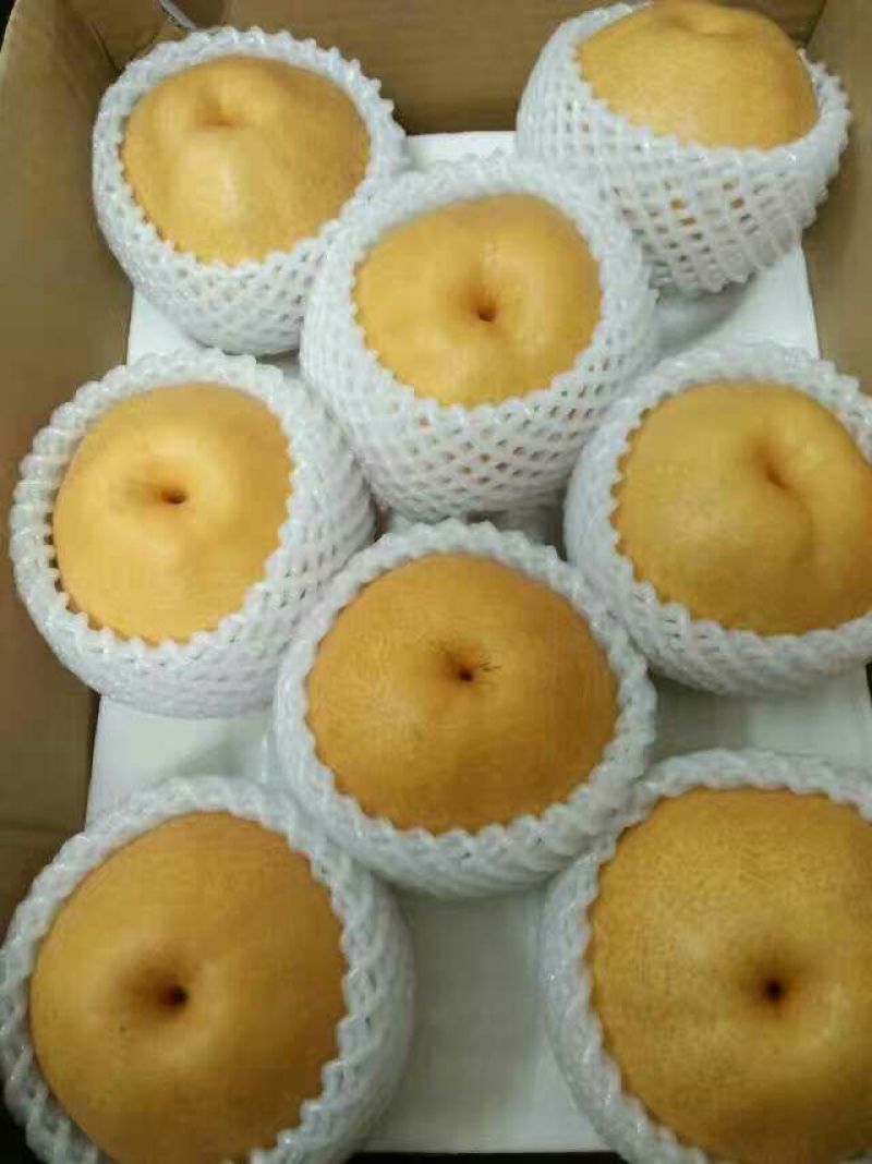 晚秋黄梨100~150g纸袋