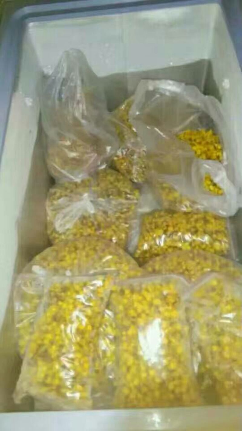 金花茶叶一级