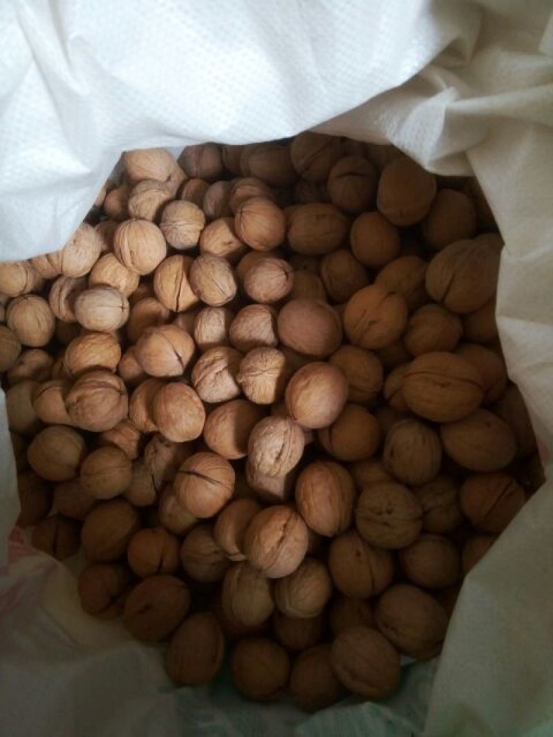 新疆核桃去皮干