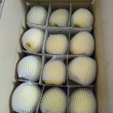 礼泉酥梨200~250g光果