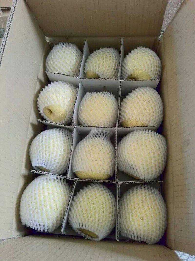礼泉酥梨200~250g光果
