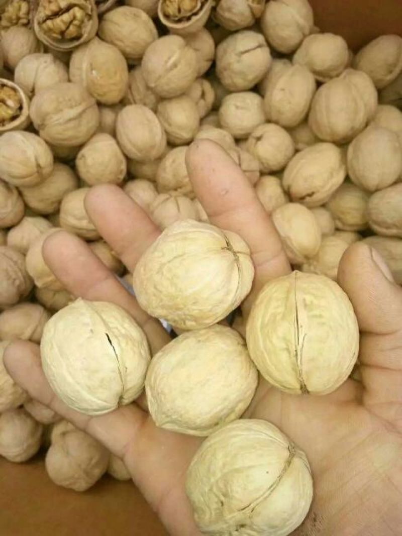 薄皮核桃30mm以上去皮