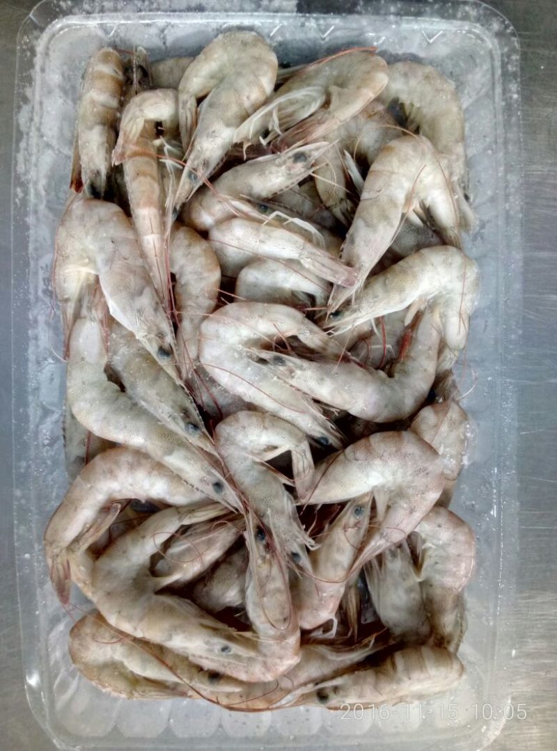 青虾食用13~15只/kg