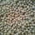 山西忻州黄豆大量上市中